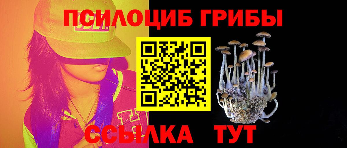 Сызрань  Галлюциногенные грибы GOLDEN TEACHER  Вход с VPN 